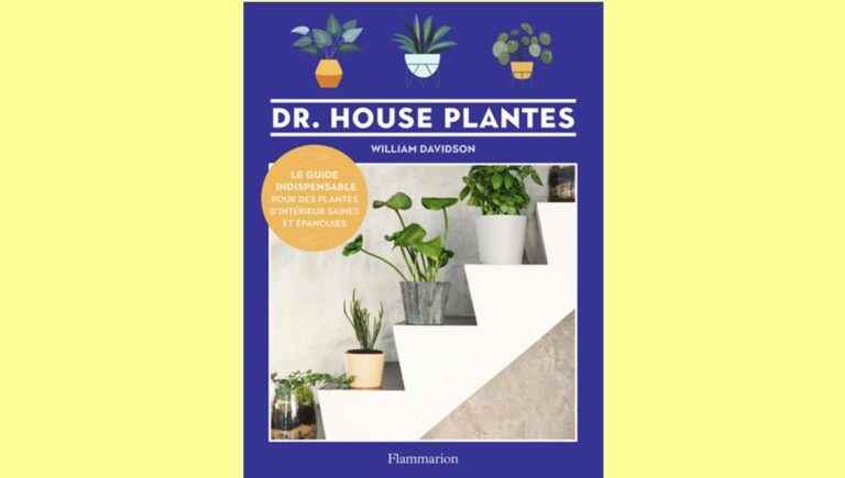 A book to have at home: DR.  HOUSE PLANTS