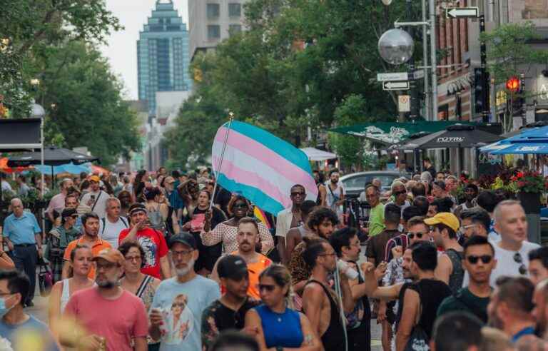 A committee will shed light on the cancellation of the Pride parade