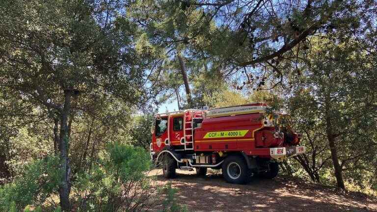 A fire in progress in Boisbreteau in Charente, 150 hectares destroyed, 220 firefighters on site