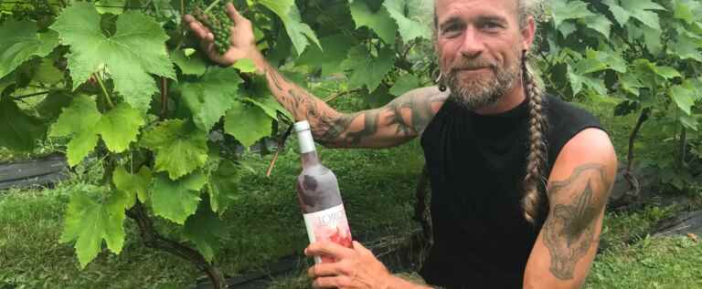 A vineyard that bears fruit in the Îles-de-la-Madeleine