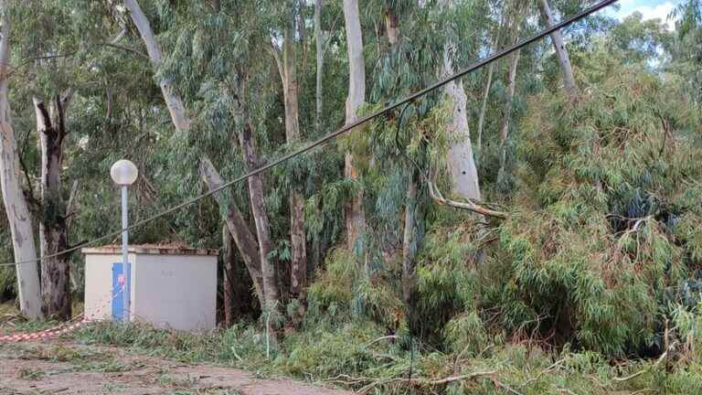 After the storm in Corsica, the electricity and telephone networks gradually restored