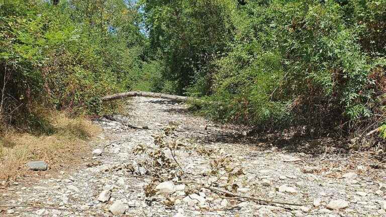 Almost all the rivers of Ardèche in a crisis situation