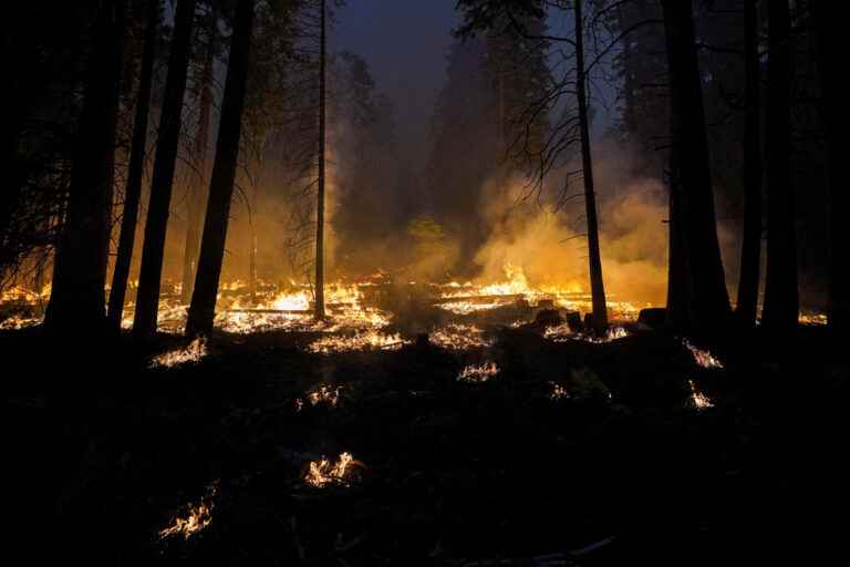 An “extreme heat belt” will develop in the United States within 30 years