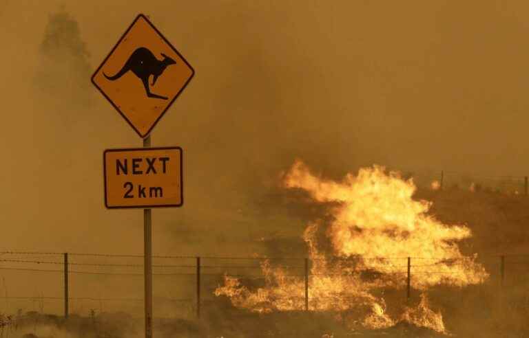 Australia’s bushfires have damaged the ozone layer