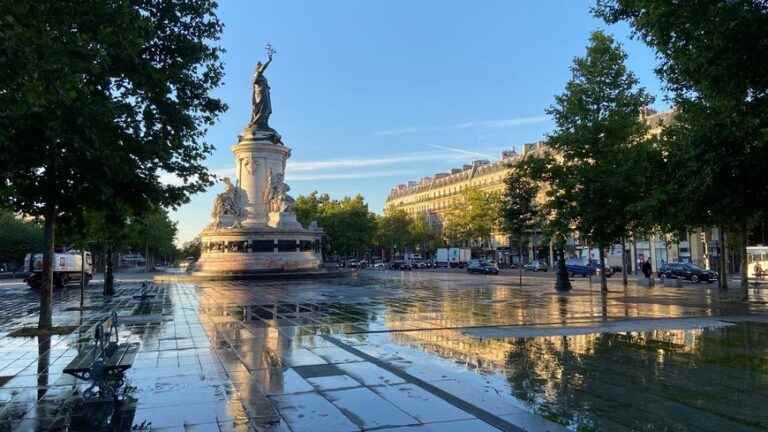 Avenue de la République: bicycles and vegetation