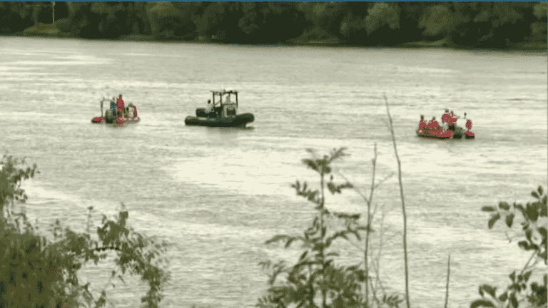 Beluga in the Seine: an expected rescue