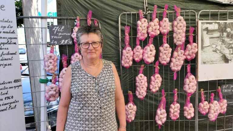 Billom’s pink garlic put in the spotlight at the 38th Garlic Fair this weekend