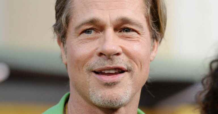 Brad Pitt clashes in a colorful look… surrounded by a wave of necklines!