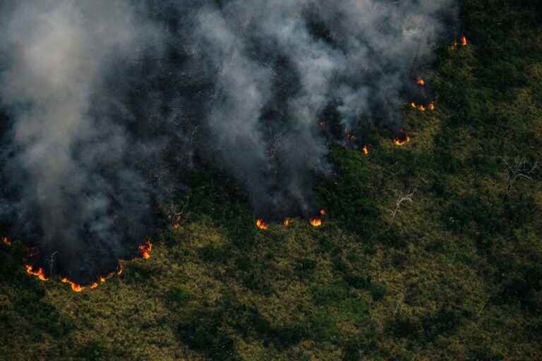 Brazil |  A record of fires in the Amazon for 15 years