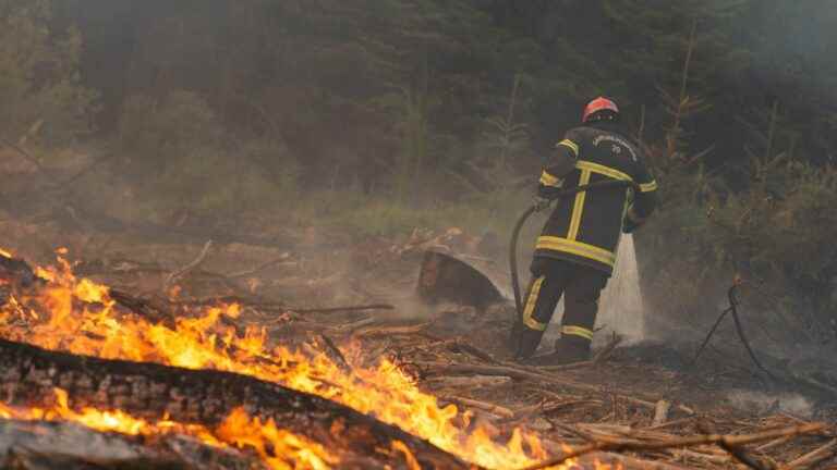 Brittany, Isère, Dordogne… We take stock of the fires in progress in France