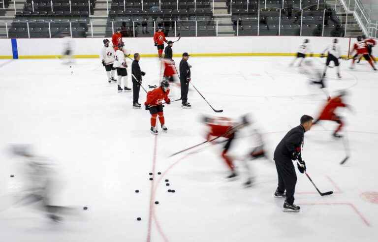 Canadians concerned about sexual misconduct by young hockey players, Angus Reid poll finds