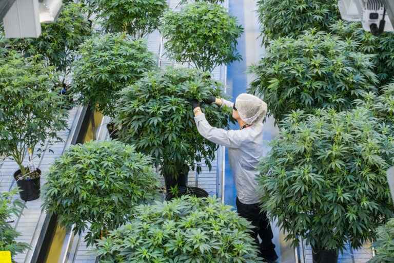 Canopy Growth takes a loss of 2 billion