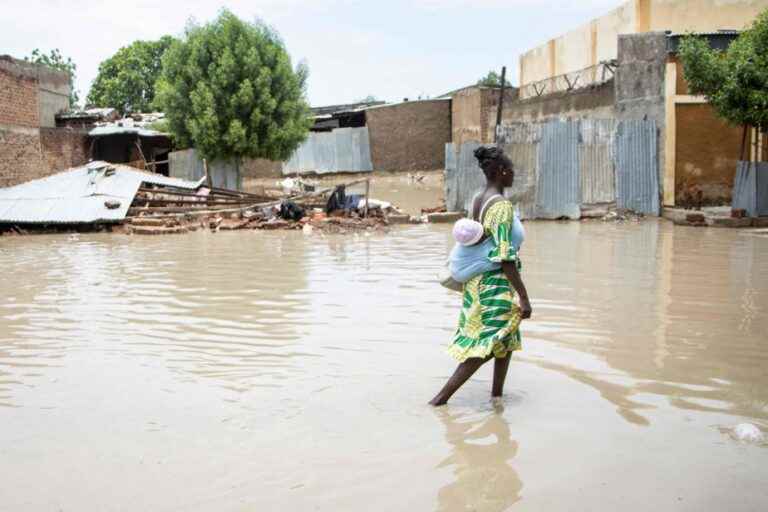 Chad |  Torrential rains left 22 dead and more than 110,000 affected this summer