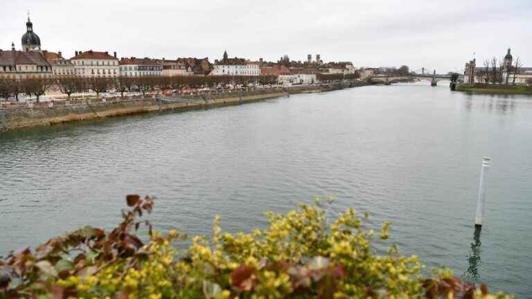 Chalon-sur-Saône completely stops watering its green heritage