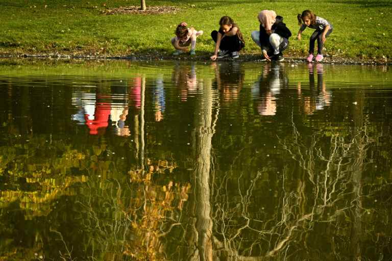 Children’s health |  Green spaces associated with better behavior