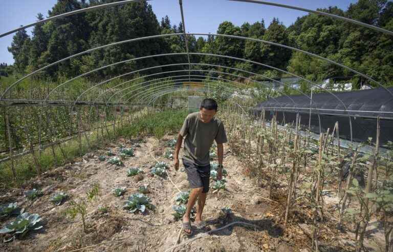 Chinese authorities will boost rain with chemicals to counter drought