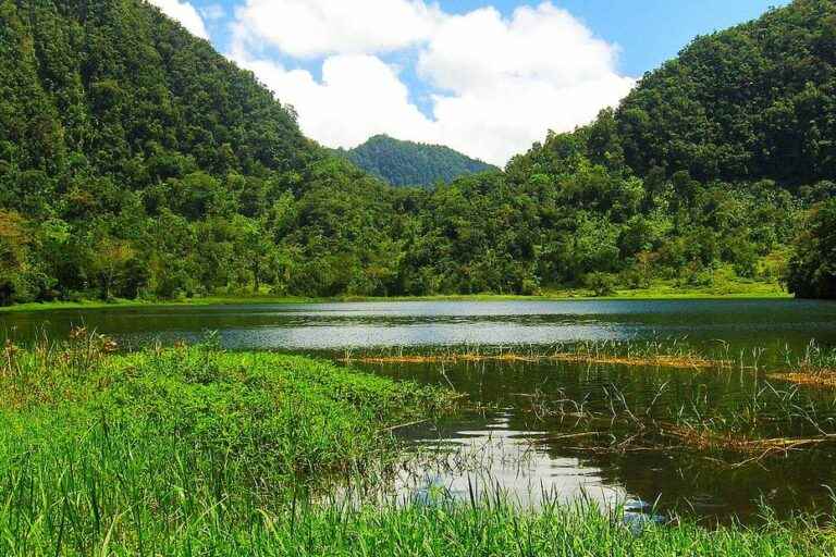 Comoros: five new national parks