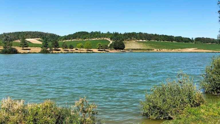 Corkscrew Museum, Lac De Beine, Domaine De Perdrycourt… Walking around Chablis