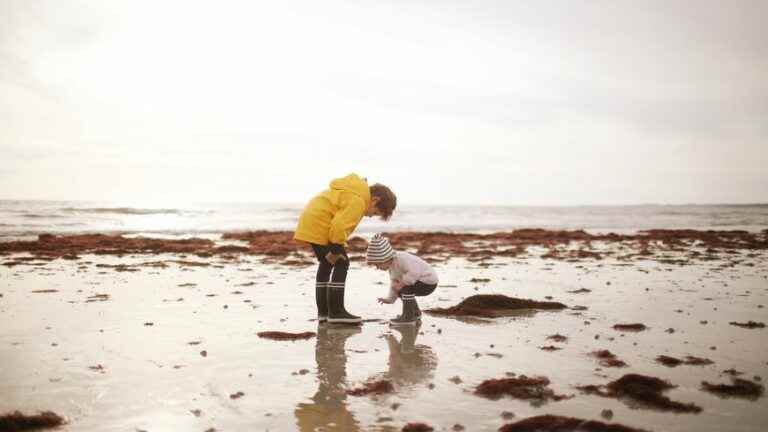 Curious by nature – Program on France Bleu Armorique