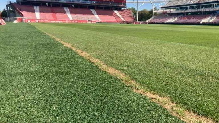 DFCO: how is the lawn of the Stade Gaston Gérard maintained?