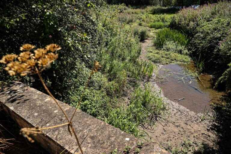 Drought |  But where did the Thames go?