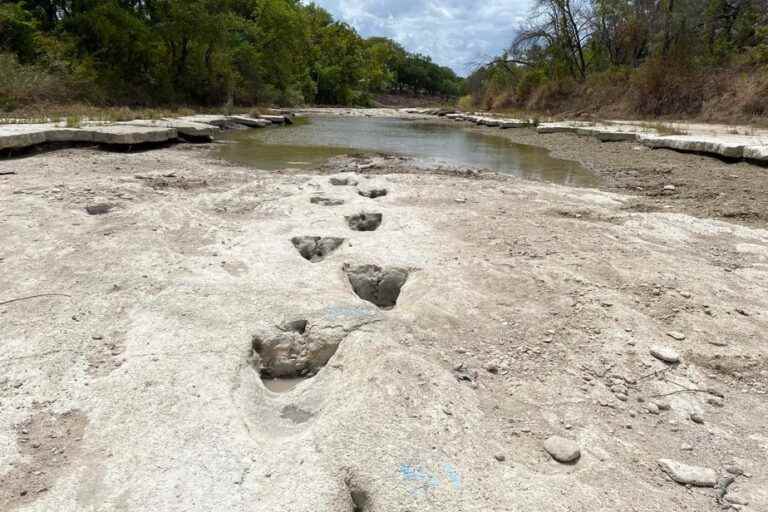 Drought in Texas |  Dinosaur tracks found in dry river bed