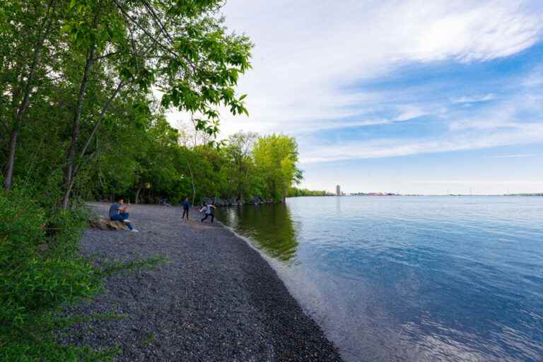 East of Montreal |  A body recovered from the St. Lawrence River