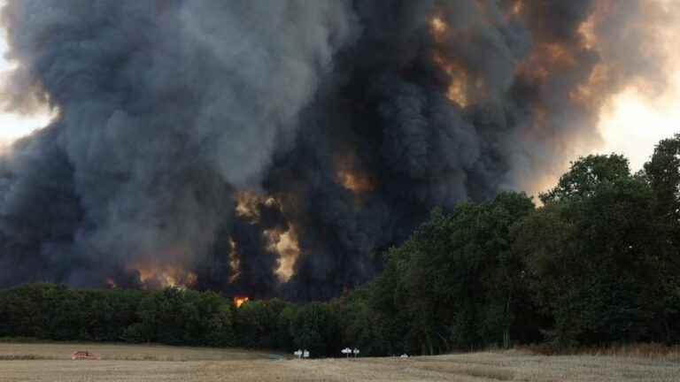 Eight Mayenne firefighters left as reinforcements to put out the fire in the Brocéliande forest in Morbihan