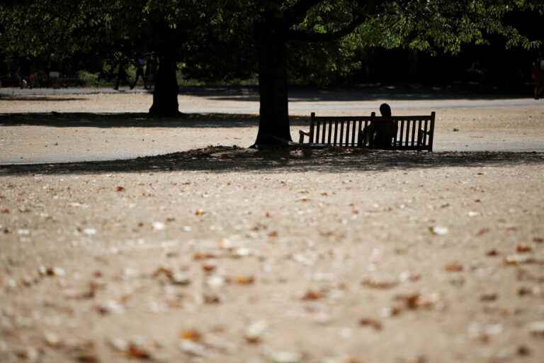 England |  “Extreme heat” alert, several restrictions on water consumption