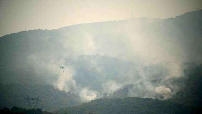 European Union faces record summer of scorched areas, satellite data shows