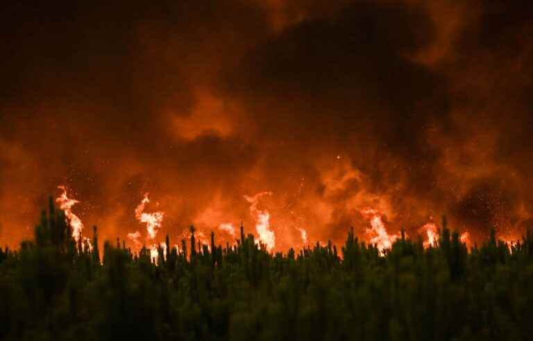 European reinforcements against the fires in France