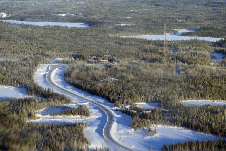 Even modest global warming threatens Northern Hemisphere forests