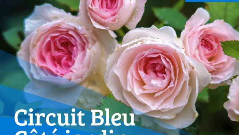 Experts Jardin de France Bleu Lorraine