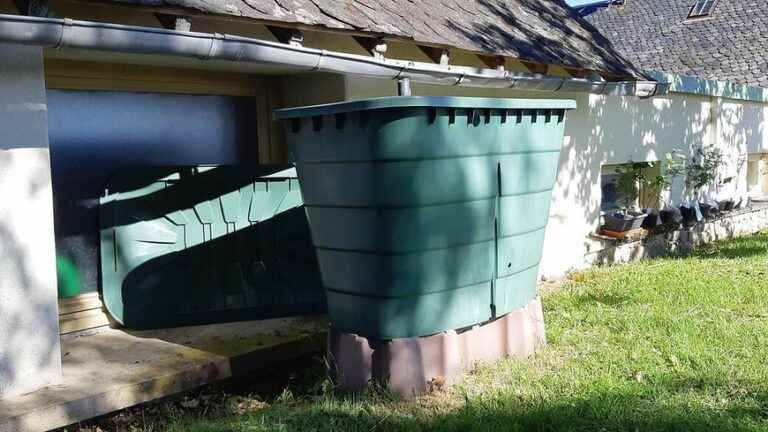 Faced with drought, the efforts of amateur gardeners in Touraine to save water