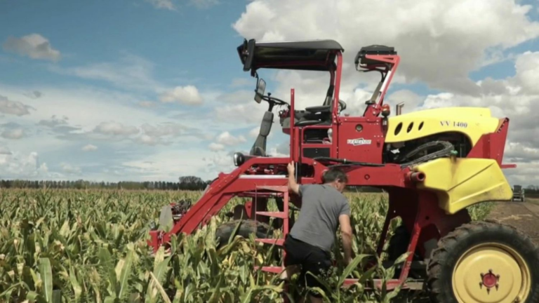 Farmer, campsite owner… these deputies find their job during the summer break