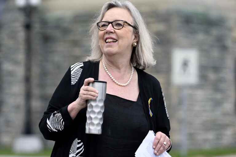 Federal Green Party Leadership |  Elizabeth May says she has an obligation to serve by launching her candidacy