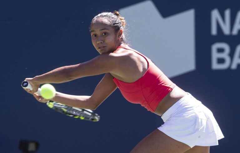 Fernandez beaten in the second round in Toronto