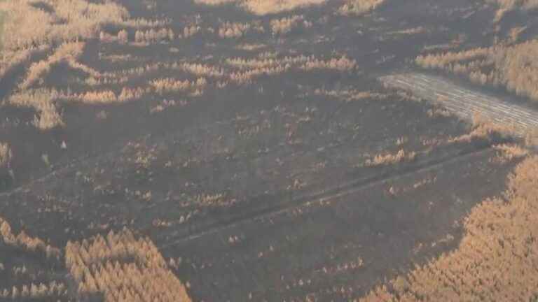 Fires in Gironde: 7,400 hectares of forest destroyed, a ravaged territory