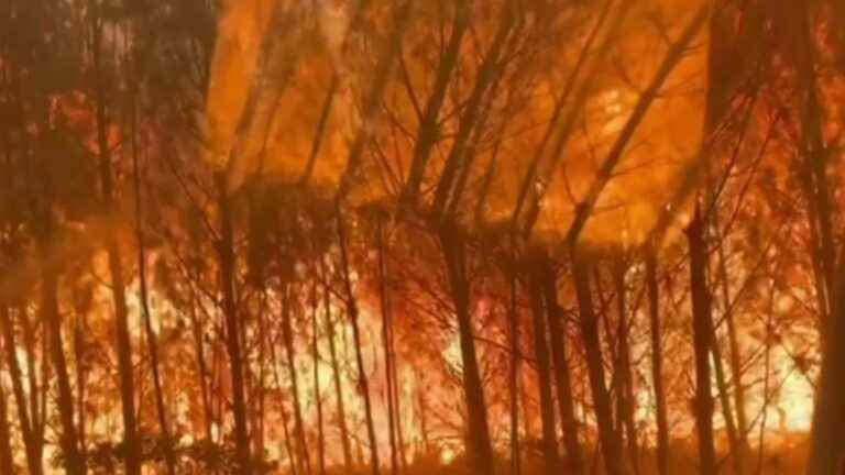 Fires in Gironde and Landes: extreme weather conditions