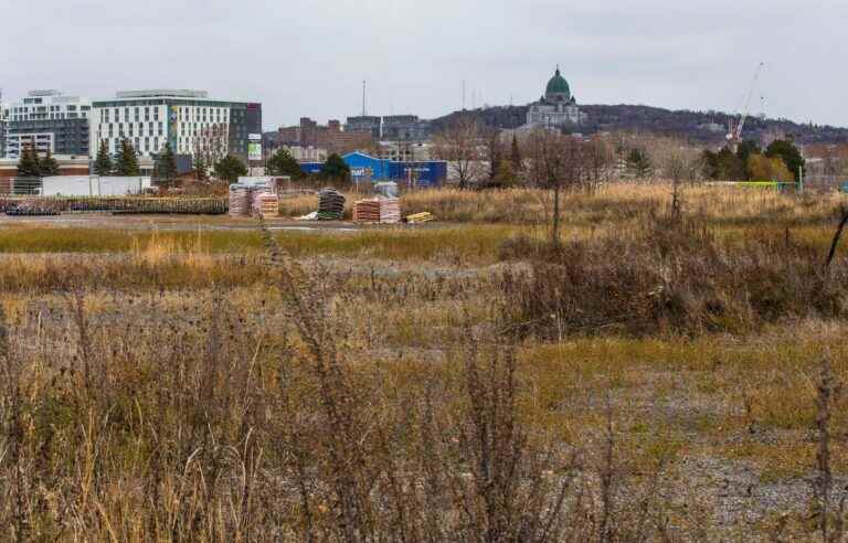 First affordable housing on the site of the former Hippodrome in 2025