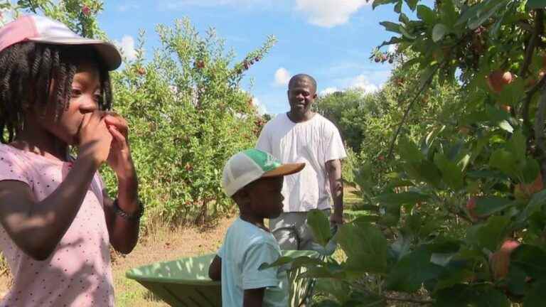 Food: faced with rising prices, the solution of local pickings