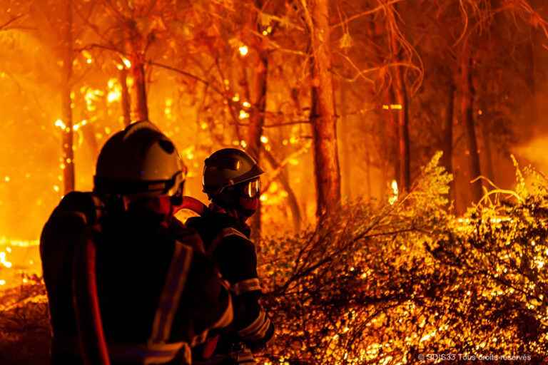 Forest fires |  Europe comes to the aid of France