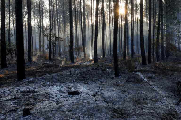 France |  Beginning of calm on the fire front