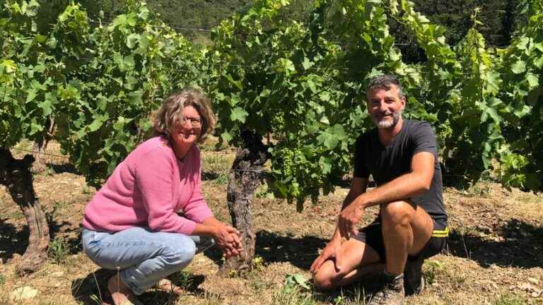 Fresh and expressive wines at Domaine Peylong in the Gervanne Valley