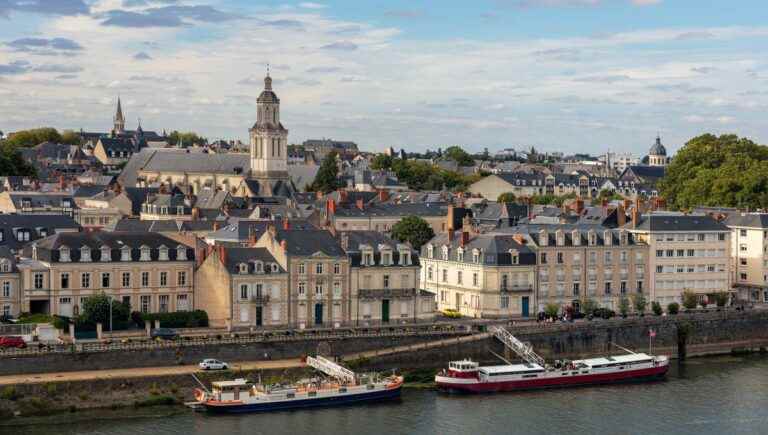 From Tours to Angers: rillettes, cheeses and oyster mushrooms