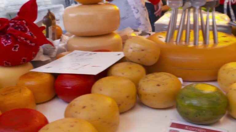 Gastronomy: in the Netherlands, gouda is made in the traditional way