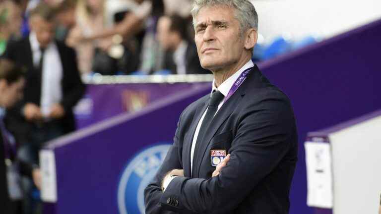 Gérard Prêcheur new coach of the women’s PSG to replace Didier Ollé-Nicole