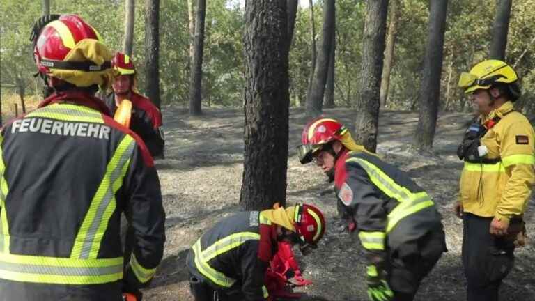 German firefighters come as reinforcements