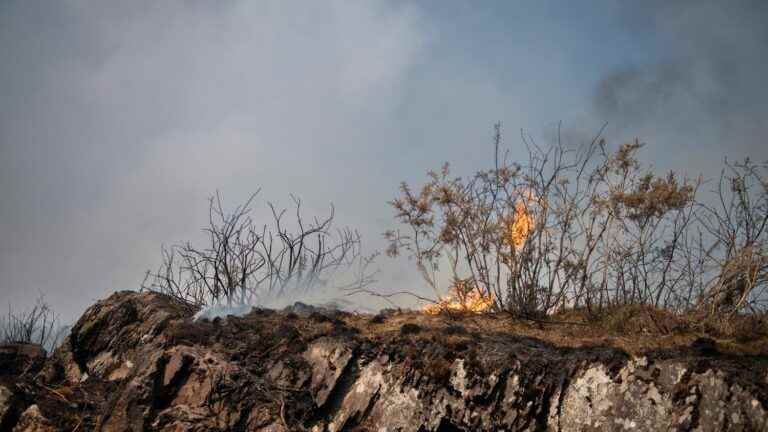 Gironde, Landes, Jura, Morbihan, Finistère, Drôme, Ardèche… Update on the departments affected