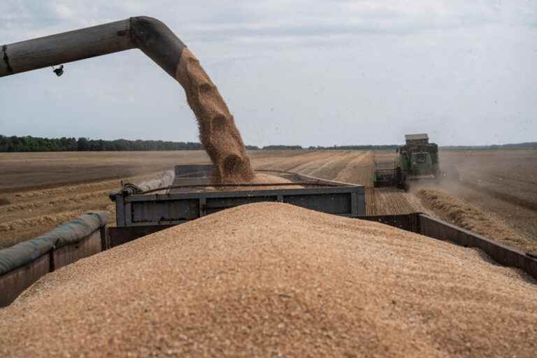 Grain storage in Ukraine |  Canada to fund $40 million UN program